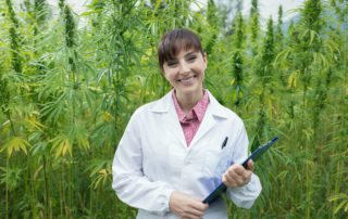 Scientist Cannabis