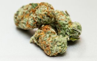 Medical Marijuana