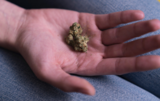 Alternative Treatment for Mental Illness