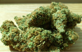 CBD