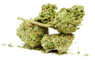 Medical Marijuana And How It Helps With Parkinson's - Thumbnail