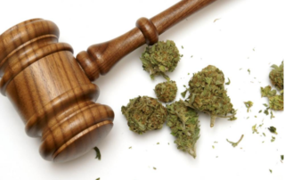 History of Marijuana Laws in the United States