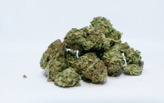 Medical Marijuana For Multiple Sclerosis: Can It Help Treat The Disease?
