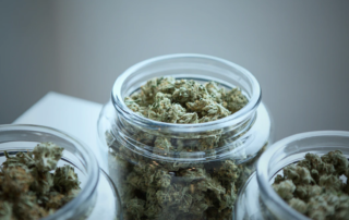 Is Marijuana Addictive? A Discussion