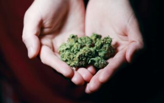 a woman is holding homegrown medical marijuana in her hands