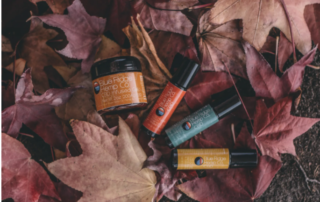 CBD bottles on leaves