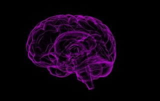 An illustration of a healthy human brain.