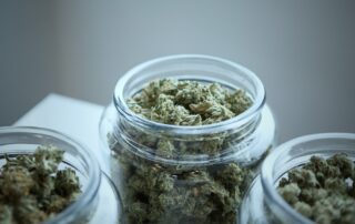 CBD hemp flower in a jar