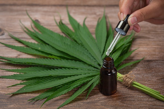 a wooden table with a bunch of cannabis leaves and a bottle of CBD oil