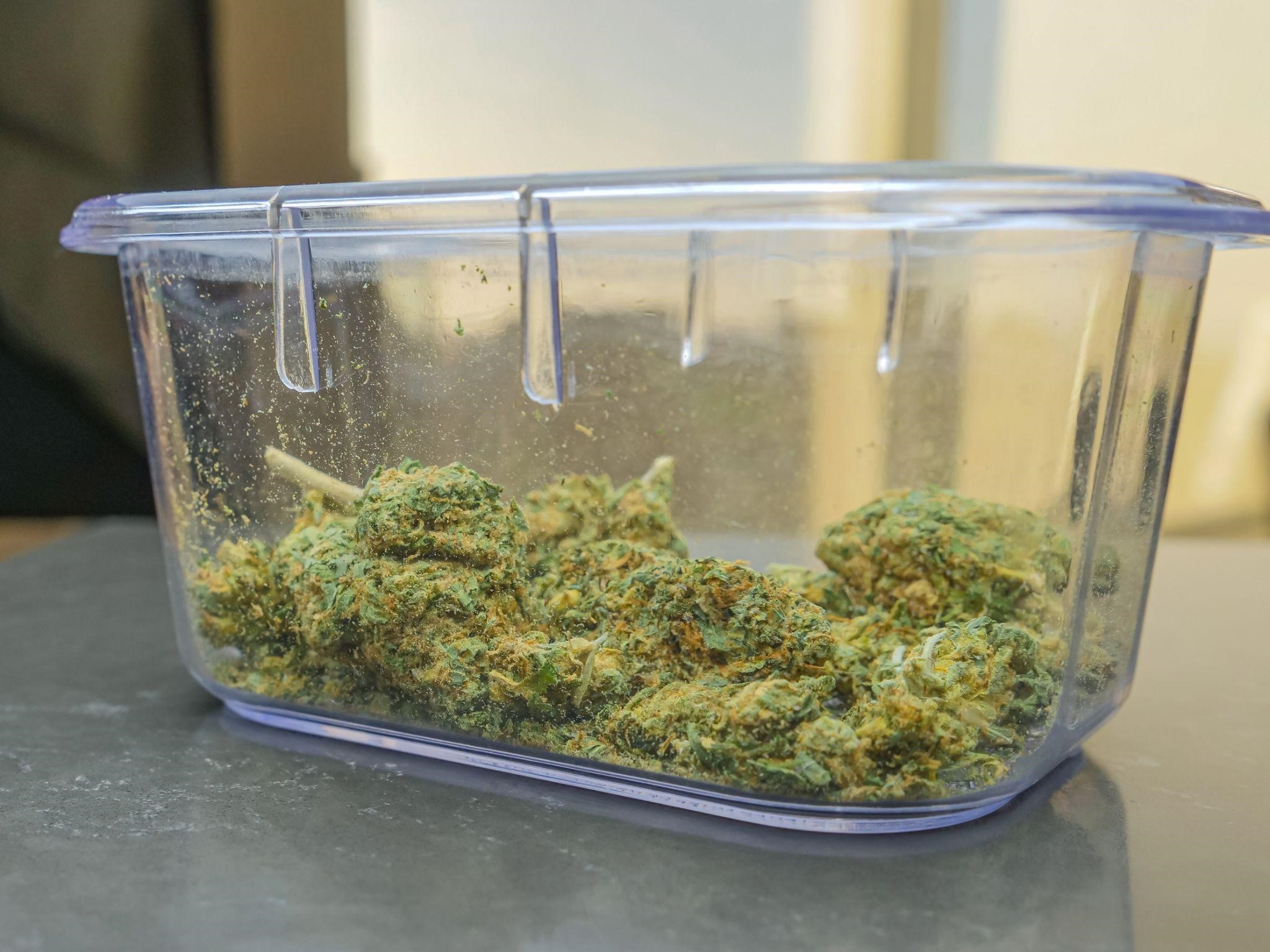 Medical marijuana plant in a box