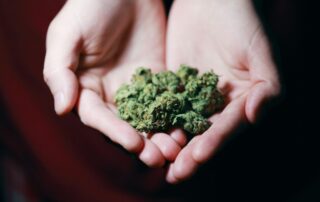 Person holding medical marijuana in their hands
