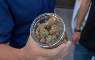 Jar of marijuana buds