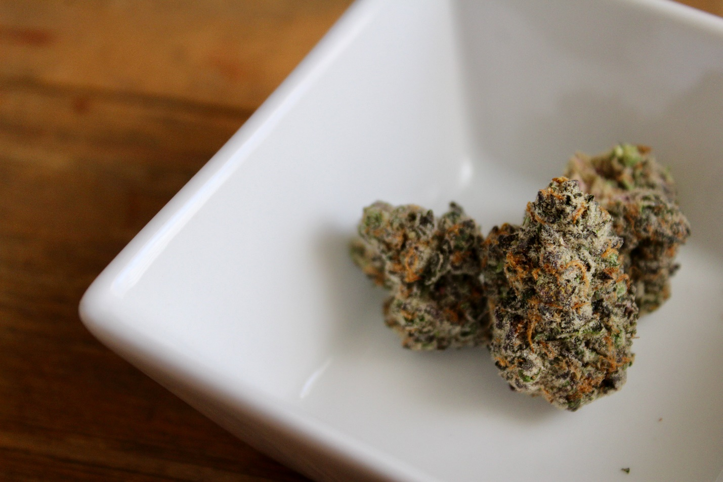 A bid of marijuana in a ceramic plate