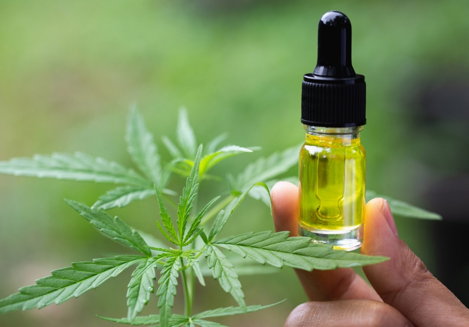 person holding small bottle of CBD oil