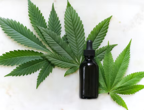 Therapeutic Effects of Cannabis: What You Should Know