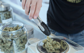 medical-marijuana
