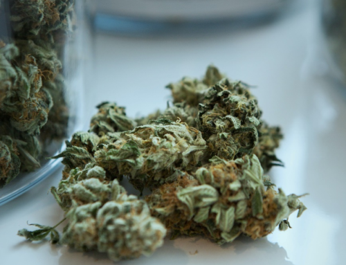 The Potential Benefits of Marijuana for HIV