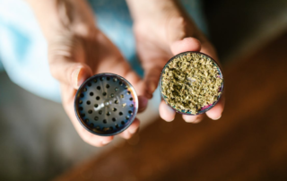 Dried marijuana leaves in a tin