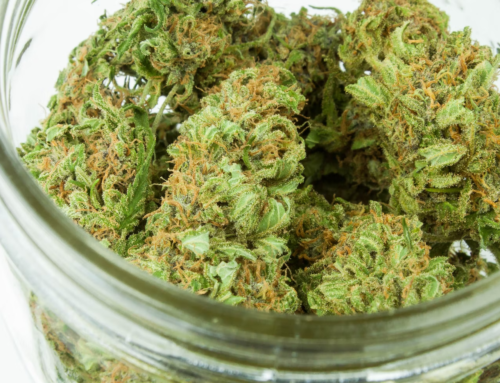 How Does Medical Marijuana Work? 