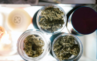 Marijuana in glass jars