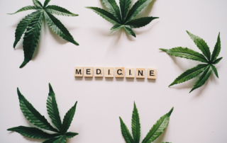 medical marijuana card in Moorhead
