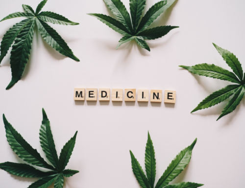 Here’s How You Can Get A Medical Marijuana Card In Moorhead