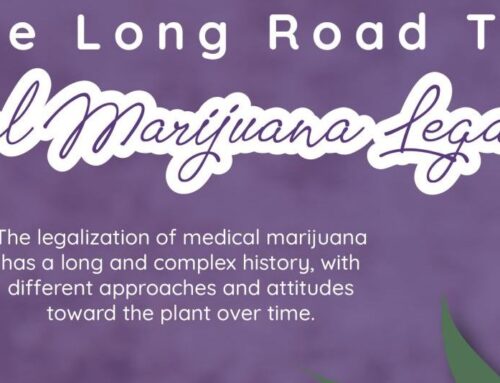The Long Road to Medical Marijuana Legalization